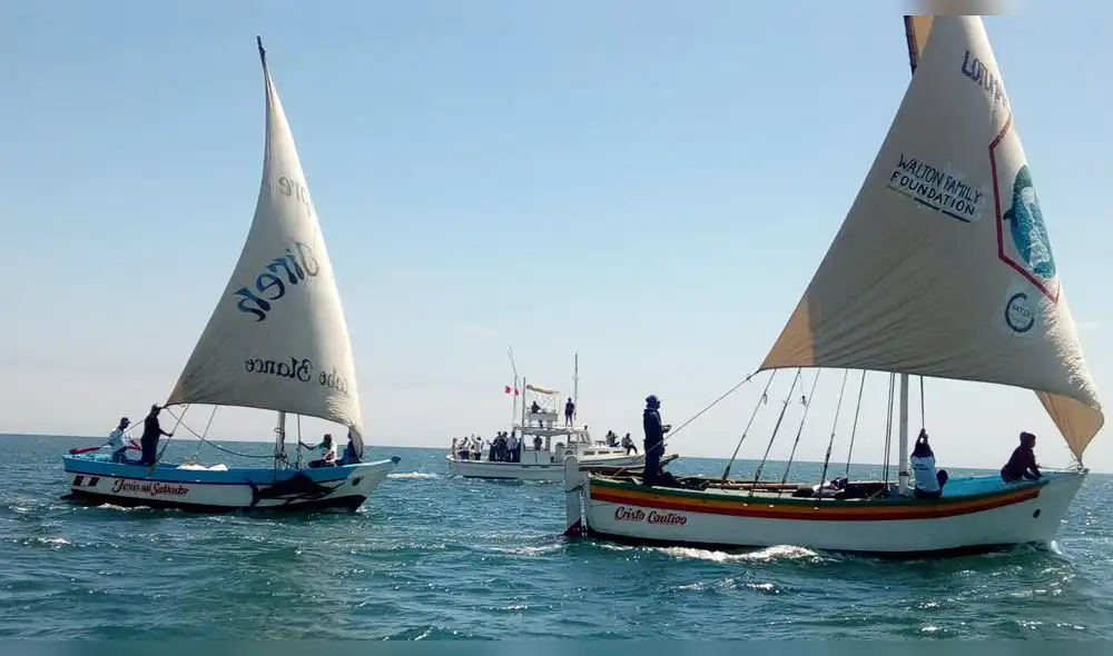 Carrera busca conservan la tradición la navegación a vela.
