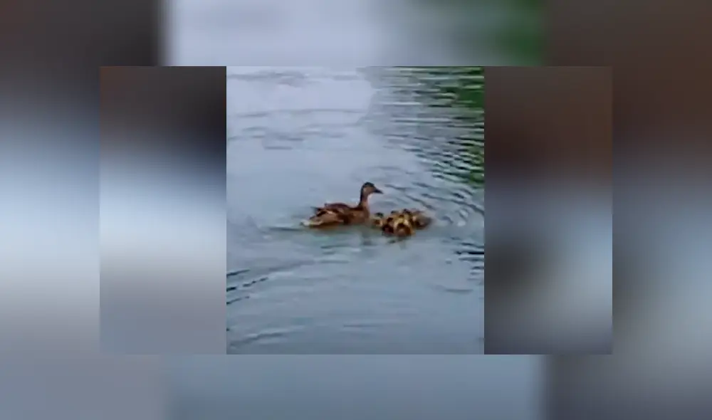 Desliza para ver los momento más impactantes del conmovedor video que se hizo viral en Facebook. Desliza para ver los momento más impactantes del conmovedor video que se hizo viral en Facebook.