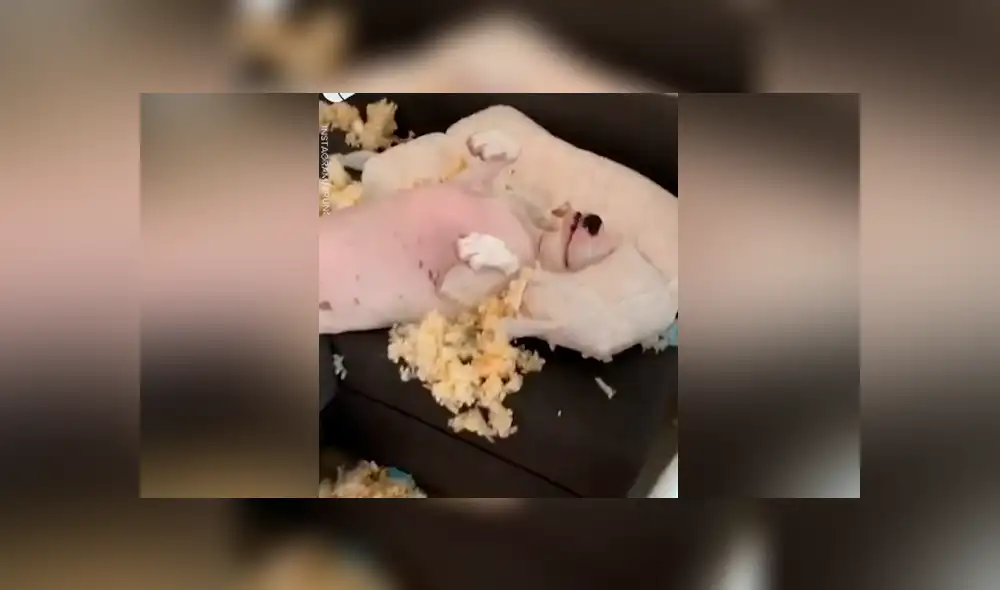 Desliza para ver los momentos más divertidos del video que se hizo viral en Facebook.