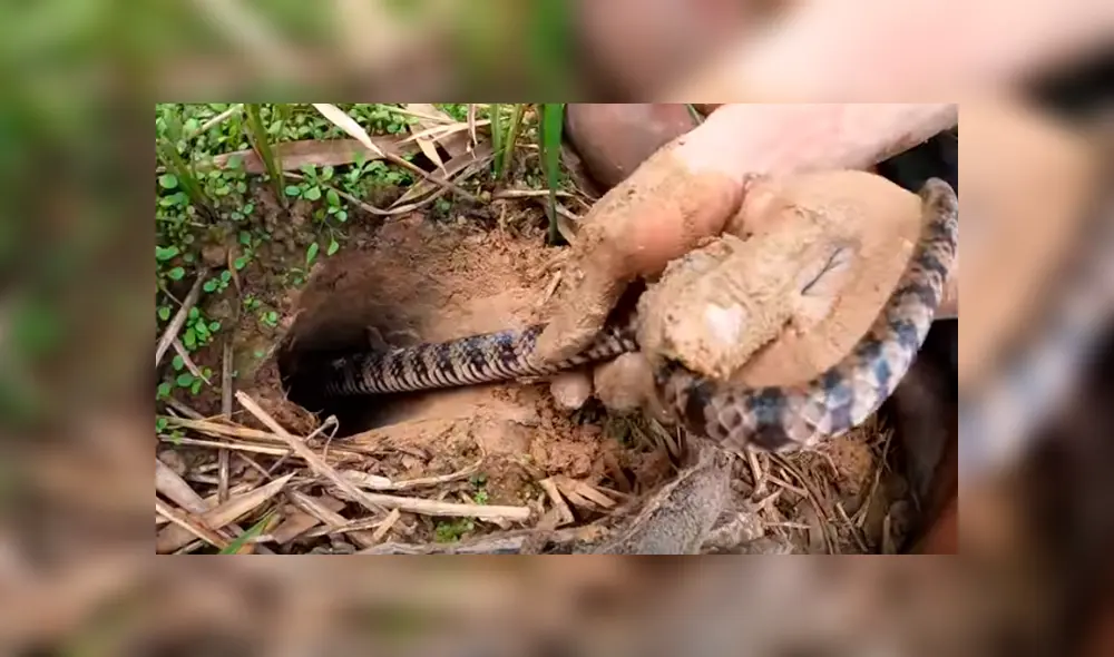 Desliza hacia la izquierda para ver el hallazgo que hizo un joven dentro de un hueco. Video es viral en YouTube. Desliza hacia la izquierda para ver el hallazgo que hizo un joven dentro de un hueco. Video es viral en YouTube.