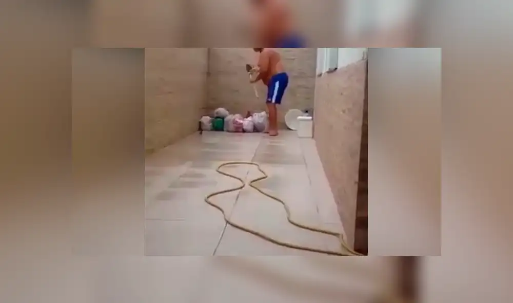 Facebook viral: rata 'trolea' a hombre que intenta atraparla y lo deja en ridículo [VIDEO]