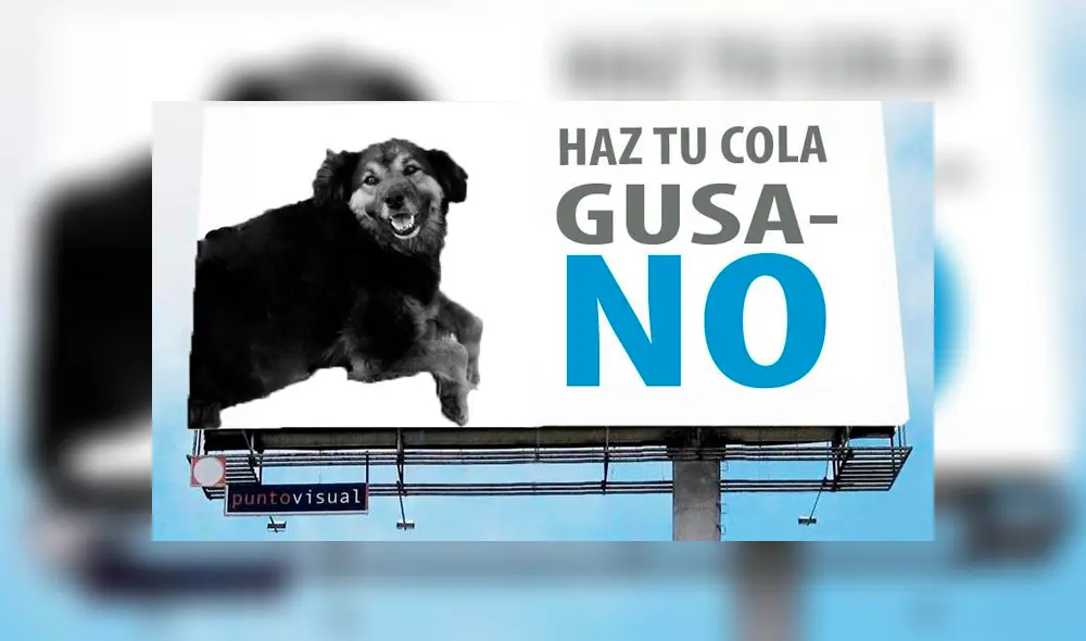 Facebook viral: alumnos de la UNMSM despiden a su 'Perrovaca' con sentimentales memes [FOTOS] 