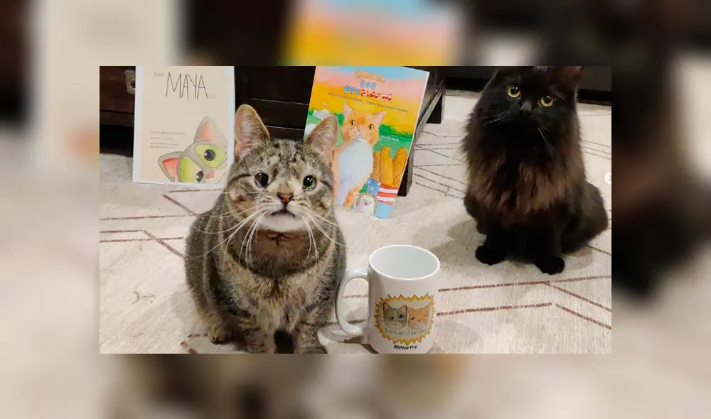 Maya junto a su compañero Dragón.