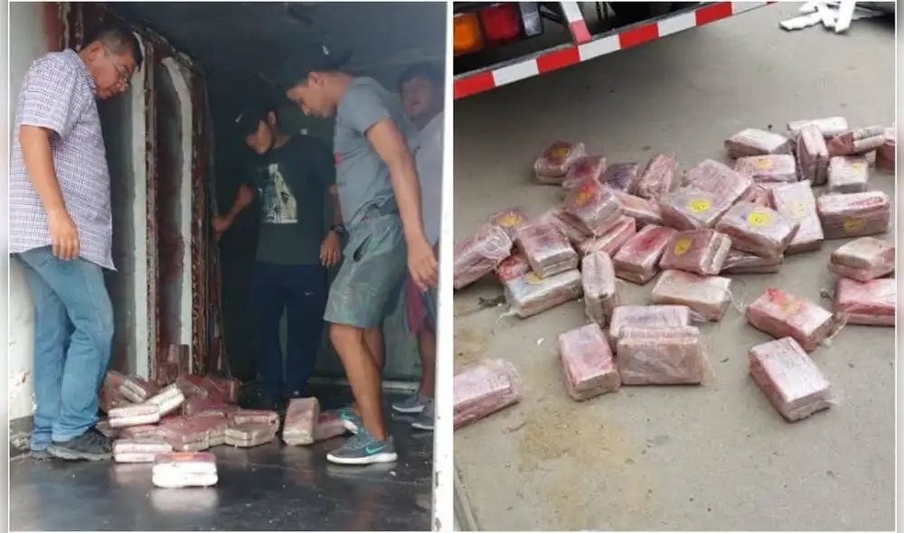 Decomisan más de 370 kg de marihuana escondida en las paredes y el techo de un camión [FOTOS]