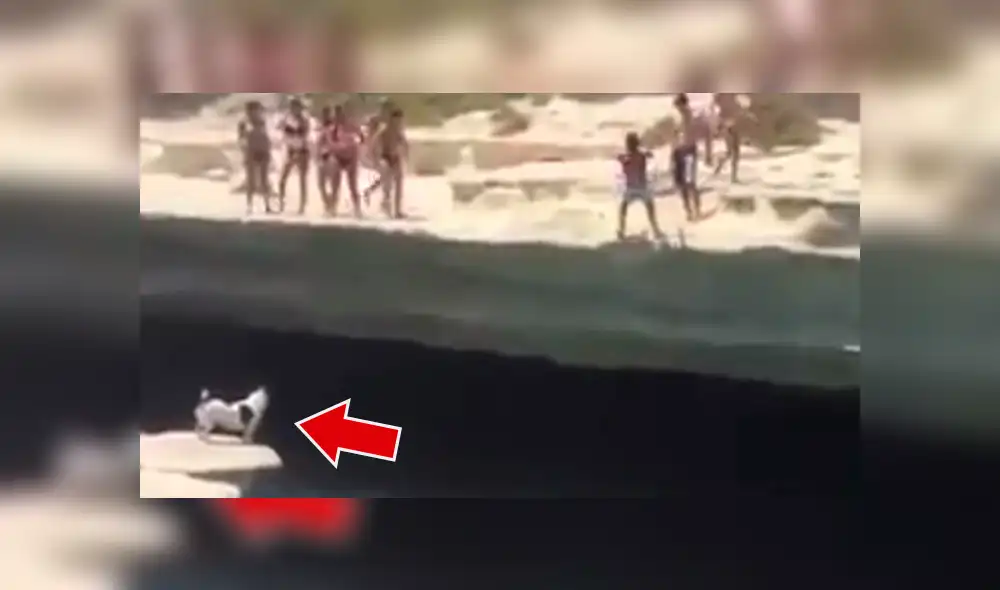 Facebook viral: Perro ve a su amo lanzarse a lago y realiza valiente sacrificio para salvarlo [VIDEO] 
