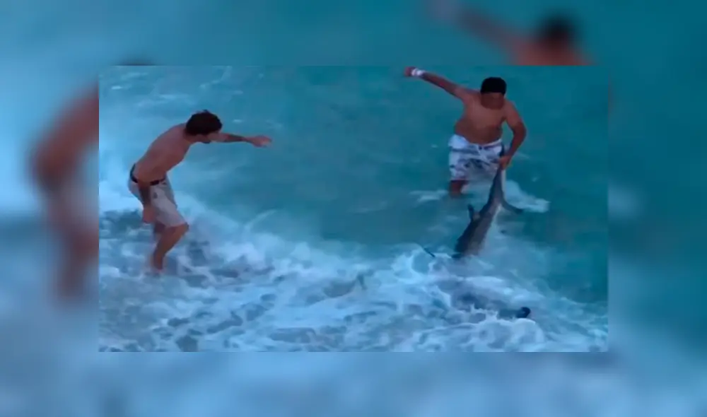 Desliza para ver el rescate de este enorme tiburón que sorprendió a todos en YouTube. Foto: Captura. Desliza para ver el rescate de este enorme tiburón que sorprendió a todos en YouTube. Foto: Captura.