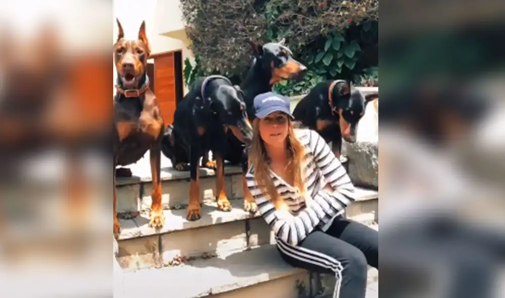 Desliza hacia la izquierda para ver más imágenes sobre esta divertida escena. (Foto: captura / TikTok)