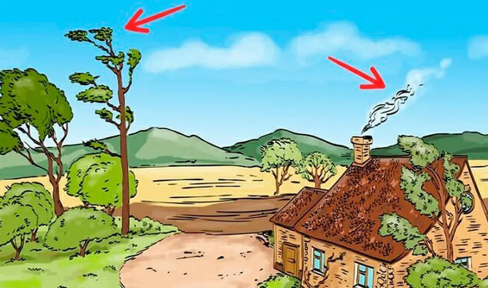 Desliza las imágenes hacia la izquierda para conocer la respuesta correcta del reciente desafío de Facebook. Foto: Milenio/ Referencial