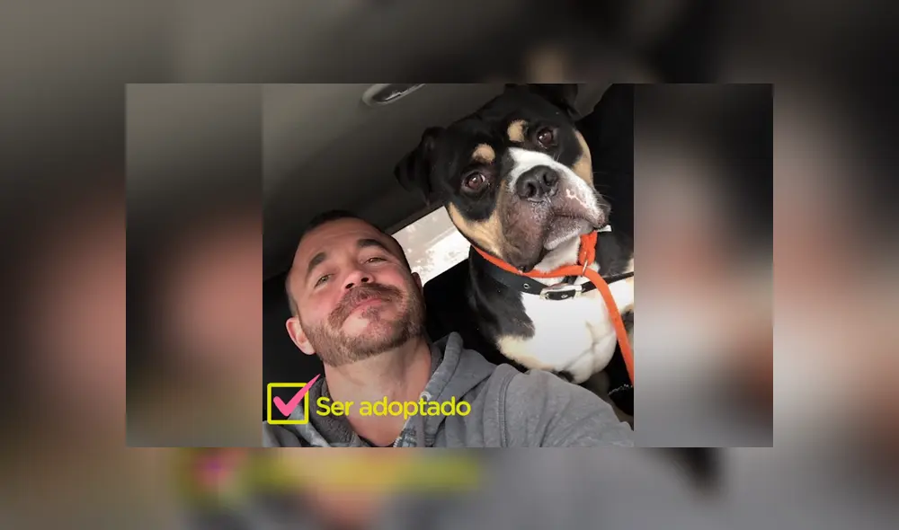 El can gruñó e intentó morder a sus rescatistas, pero cuando se ganaron su confianza cambió completamente. Foto: YouTube