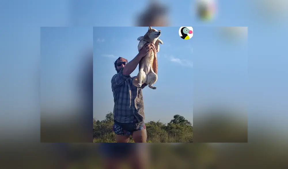 La perrita quedó ciega por un glaucoma en los ojos y su dueño la ayudó a recuperar su confianza para excurisonar. Foto El Dodo / Facebook La perrita quedó ciega por un glaucoma en los ojos y su dueño la ayudó a recuperar su confianza para excurisonar. Foto El Dodo / Facebook