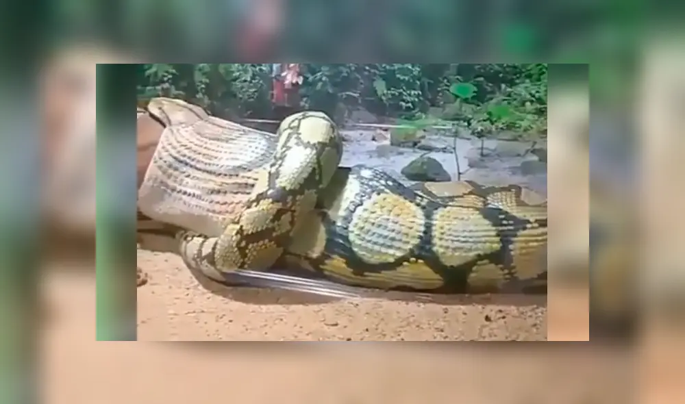 Si quieres ver lo que ocurre en el video viral de YouTube, desliza cada imagen hacia la izquierda. Si quieres ver lo que ocurre en el video viral de YouTube, desliza cada imagen hacia la izquierda.