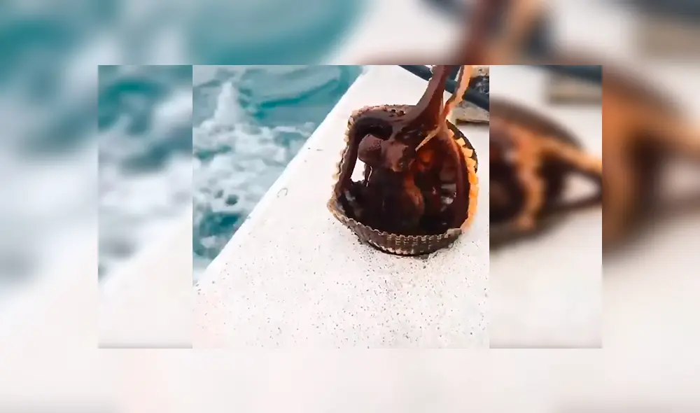 En Facebook, un hombre navegaba por una bahía en Japón cuando de pronto vio que una ‘misteriosa criatura’ salió de la almeja.