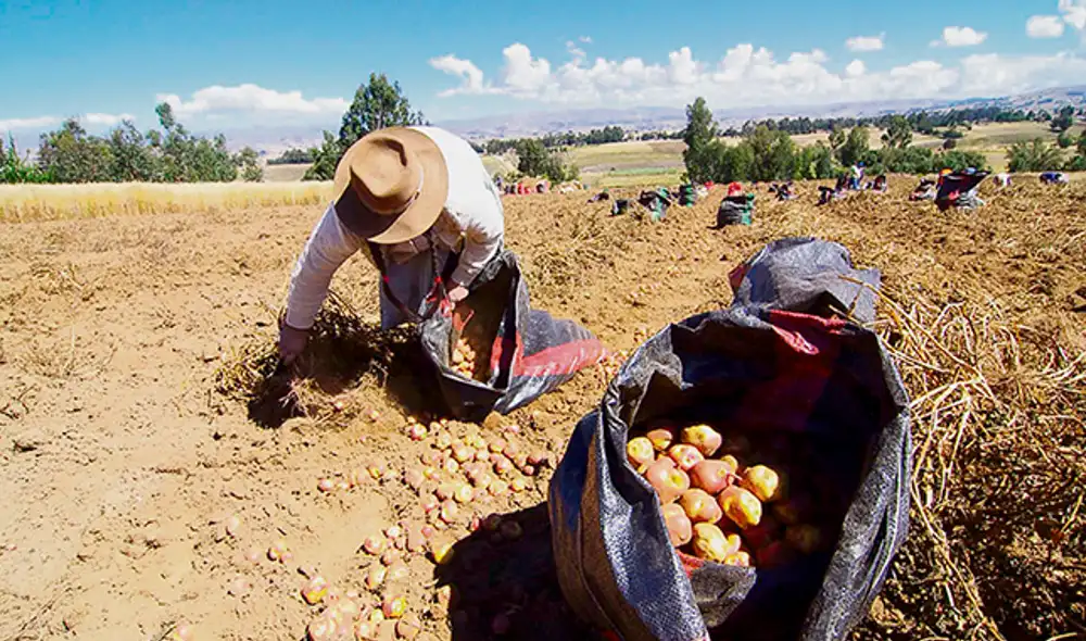 Lentitud. Préstamos se darían aún a finales de setiembre. Foto: Andina. Lentitud. Préstamos se darían aún a finales de setiembre. Foto: Andina.