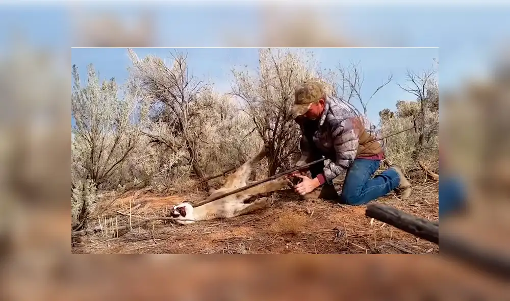 Desliza para ver los momentos más impactantes del video que se hizo viral en YouTube. Desliza para ver los momentos más impactantes del video que se hizo viral en YouTube.