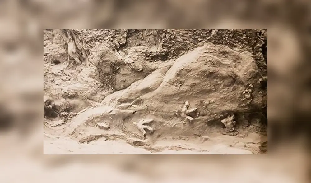 Las huellas en el techo de la cueva de Mount Morgan, en Australia. Foto: Universidad de Queensland.