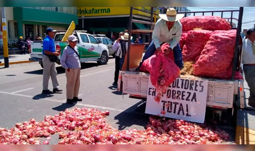 Agricultores indicaron que el kilo de la cebolla es comercializado en el campo entre 10 a 15 céntimos.