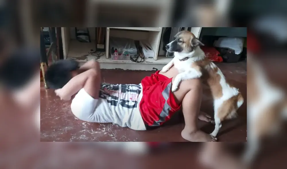 Video es viral en TikTok. Tíos del menor se percataron de la graciosa escena entre su mascota y su hijo y no dudaron en grabarla para compartirla en redes sociales. Video es viral en TikTok. Tíos del menor se percataron de la graciosa escena entre su mascota y su hijo y no dudaron en grabarla para compartirla en redes sociales.