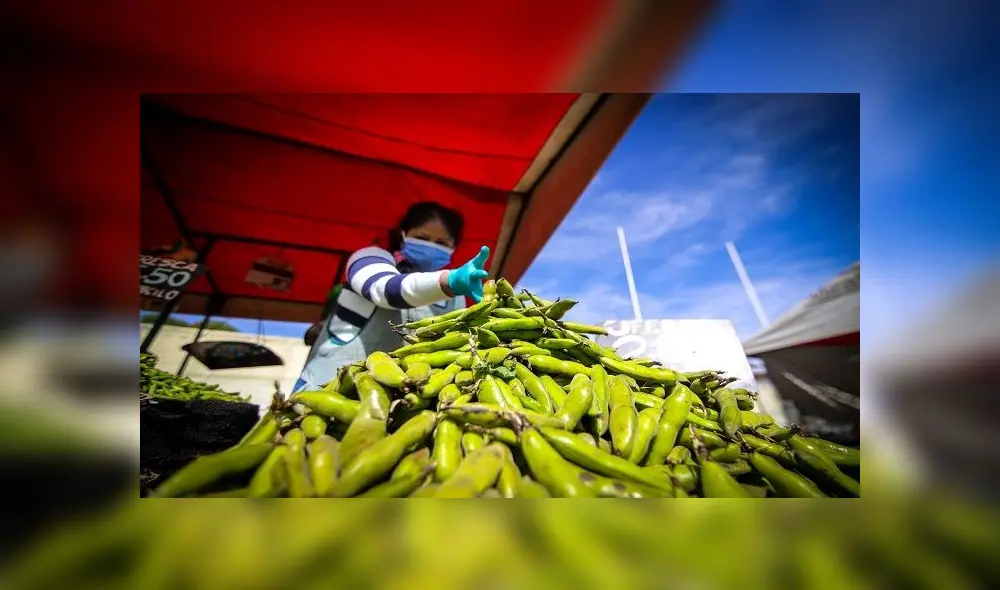 Garantizan un buen abastecimiento de mercados y ferias itinerantes en Arequipa. Garantizan un buen abastecimiento de mercados y ferias itinerantes en Arequipa.