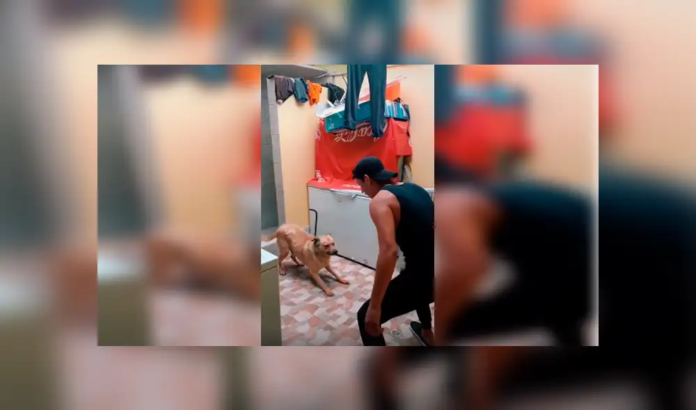 Desliza las imágenes para observar los movimientos que realizó un joven junto a su perro para pasar un reto de baile.