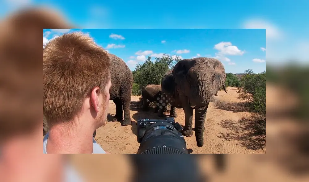 Desliza hacia la izquierda para el encuentro de un turista con leones de África. El video es viral en YouTube. Desliza hacia la izquierda para el encuentro de un turista con leones de África. El video es viral en YouTube.