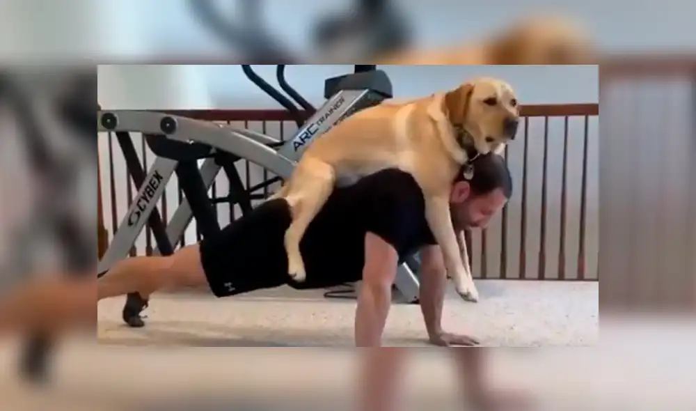 Desliza a la izquierda para ver el divertido entrenamiento que realiza un hombre junto a su mascota. (Foto: captura)