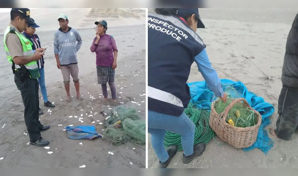 Operativos contra la pesca en zonas de repoblamiento de machas.
