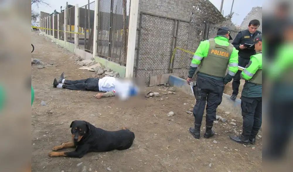 En Tacna muere hombre acusado de maltratar animales