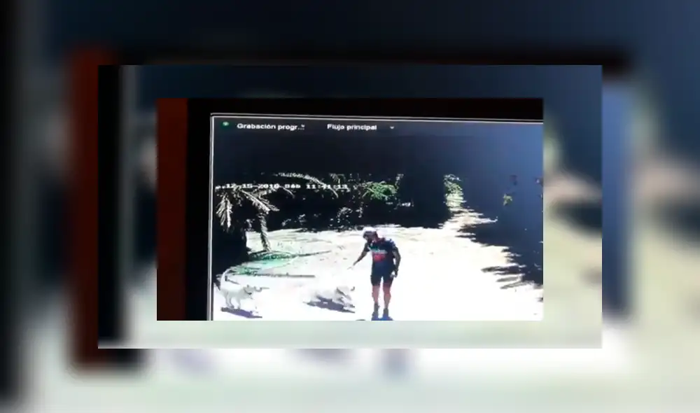 Youtube viral: Intenta entrar a una casa sin permiso y perros le dan una dura lección [VIDEO]