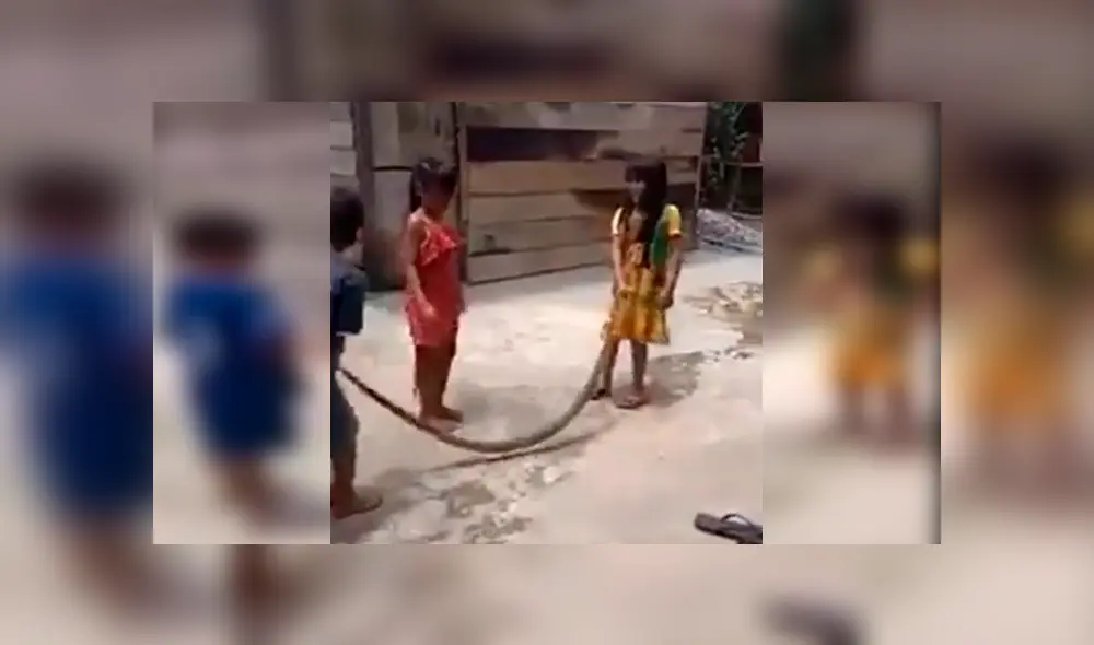 Grupo de niños fue grabado mientras se divertían en el popular juego de la cuerda con el cuerpo de una enorme serpiente. Video es viral en YouTube