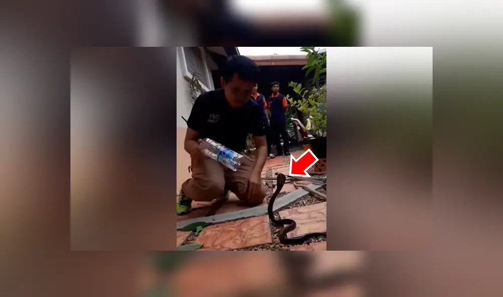 Chico intenta meter peligrosa serpiente en botella de plástico, sin imaginar lo que pasaría [VIDEO]