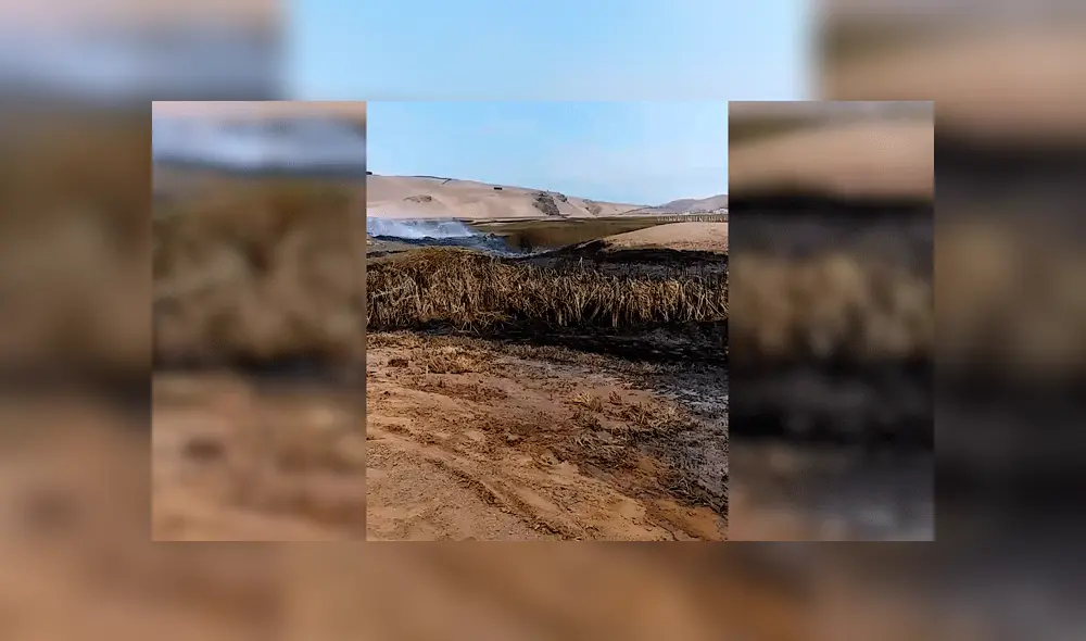 Cañete: así quedaron los pastizales de Puerto Viejo tras incendio forestal [VIDEO]