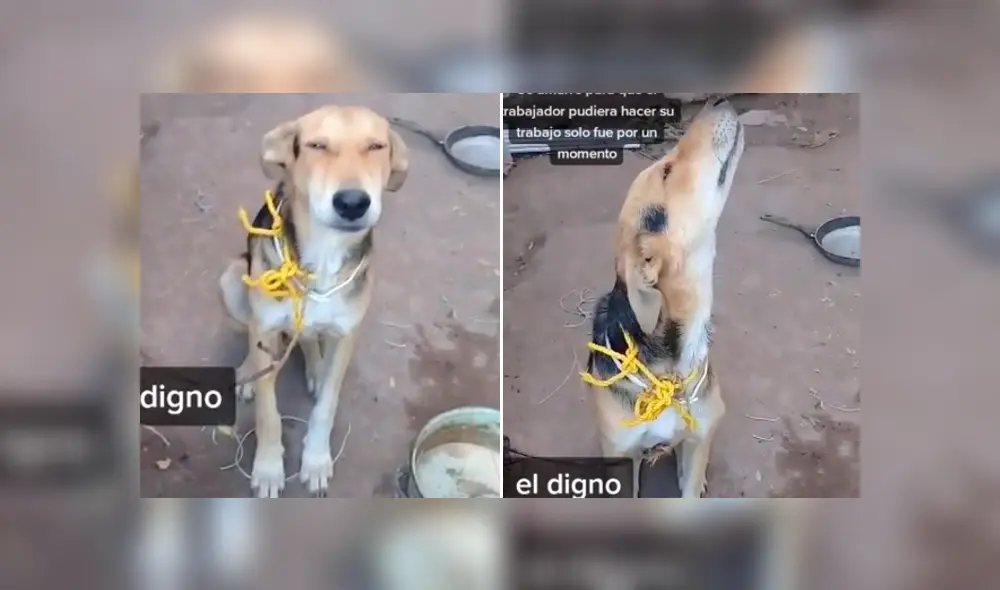 Desliza la imagen compartida en Facebook para ver todas las fotos. Desliza la imagen compartida en Facebook para ver todas las fotos.