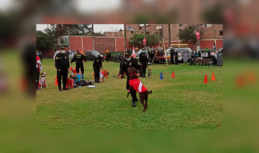 Foto: María Pía Ponce/ URPI-GLR.