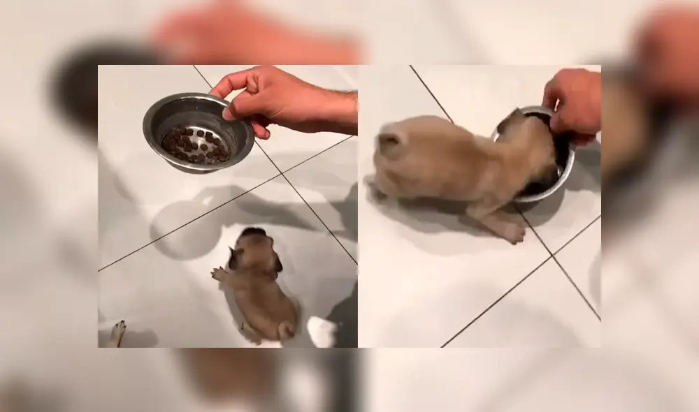 Desliza para ver el emotivo momento que se hizo viral en YouTube. Desliza para ver el emotivo momento que se hizo viral en YouTube.