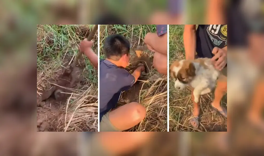 Desliza hacia la izquierda para ver el conmovedor rescate que se volvió viral en Facebook.