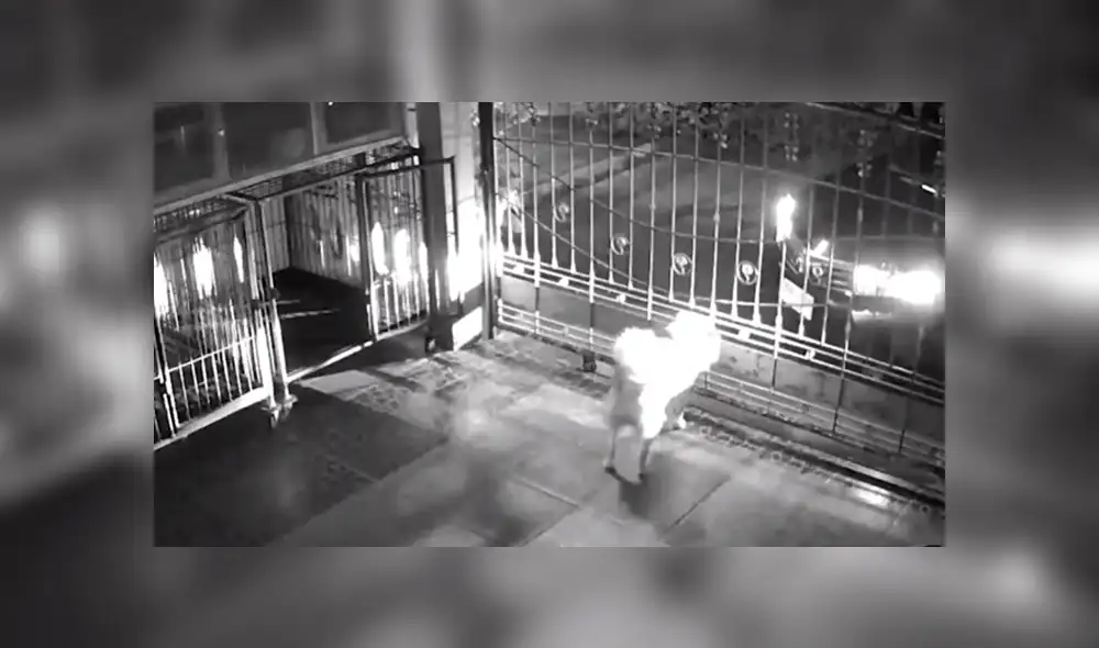 En Facebook se compartió el registro de una cámara de seguridad que muestra la reacción de dos perros al ver a su dueño.