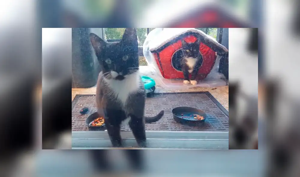 Desliza para ver los detalles de esta historia que se viralizó en Facebook. Foto: Captura. Desliza para ver los detalles de esta historia que se viralizó en Facebook. Foto: Captura.