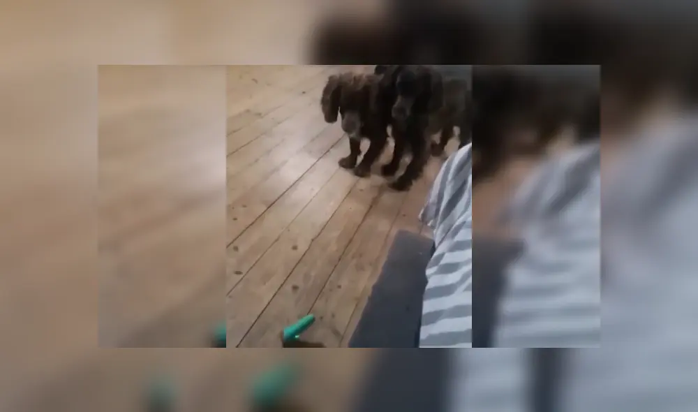 Desliza las imágenes para ver más detalles de esta divertida escena que es viral en Facebook.