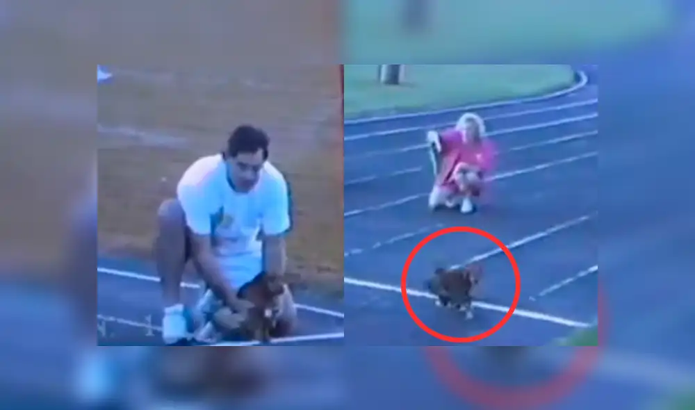 Facebook viral: competencia de carrera deja al descubierto al perro más tramposo del mundo [VIDEO]