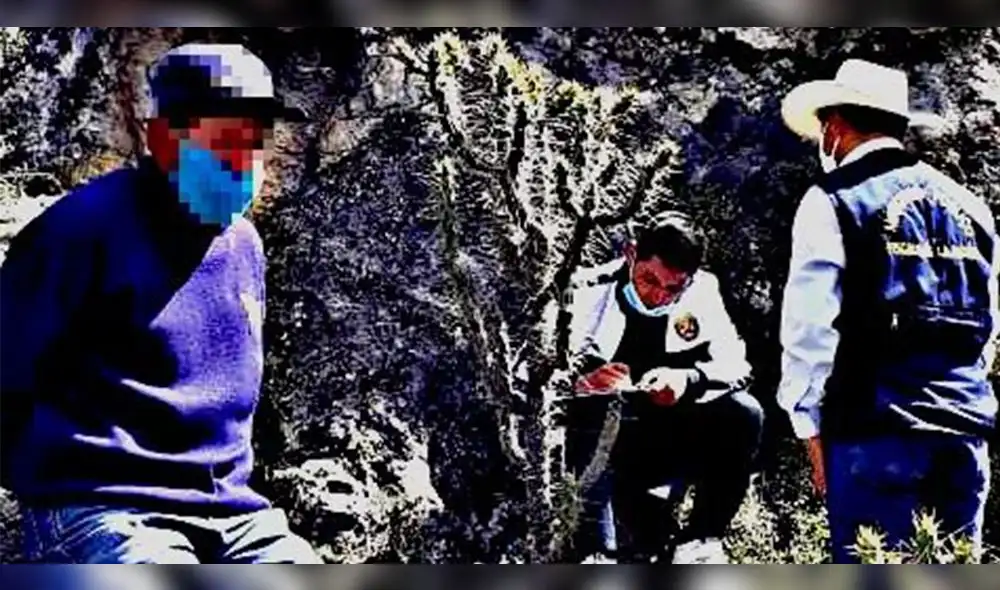 Campesino fue detenido en la provincia de Aymaraes - Apurimac. Ya está preso.