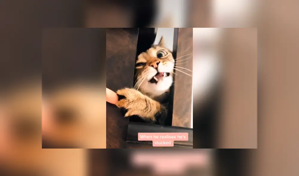 Desliza para ver todas las imágenes de Facebook. Foto: captura