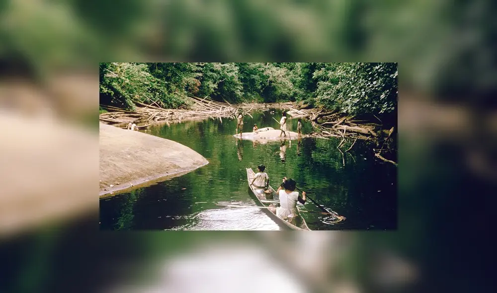 Fujimorismo ratifica proyecto que amenaza a pueblos indígenas Fujimorismo ratifica proyecto que amenaza a pueblos indígenas