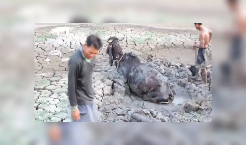 Desliza para ver los detalles del video viral publicado en YouTube. Foto: Captura. Desliza para ver los detalles del video viral publicado en YouTube. Foto: Captura.