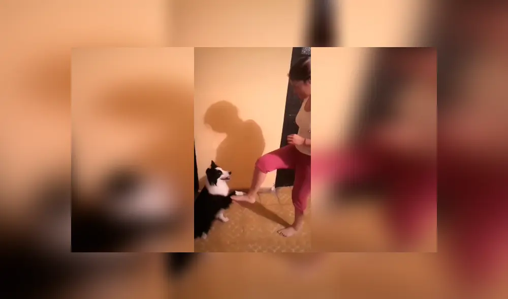 Desliza las imágenes para apreciar los divertidos pasos que realizó un perro con su dueña para cumplir un reto.