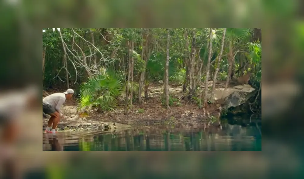 Desliza hacia la izquierda para ver el encuentro de un turista con un feroz animal, escena viral de YouTube. Desliza hacia la izquierda para ver el encuentro de un turista con un feroz animal, escena viral de YouTube.