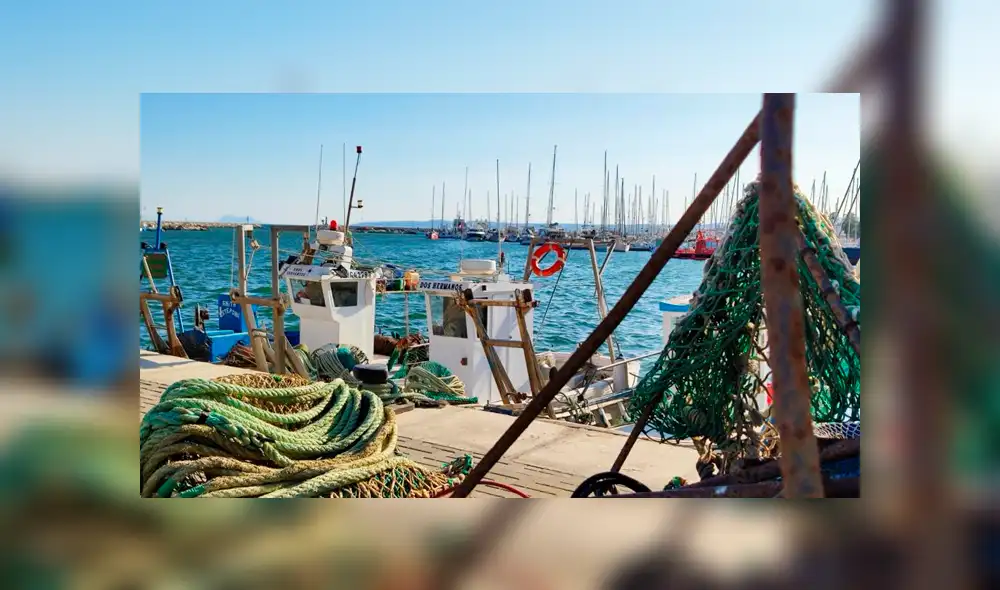 El puerto de Estepona, donde estaba preparada una ambulancia para movilizar al náufrago a un centro médico. Foto: La Vanguardia