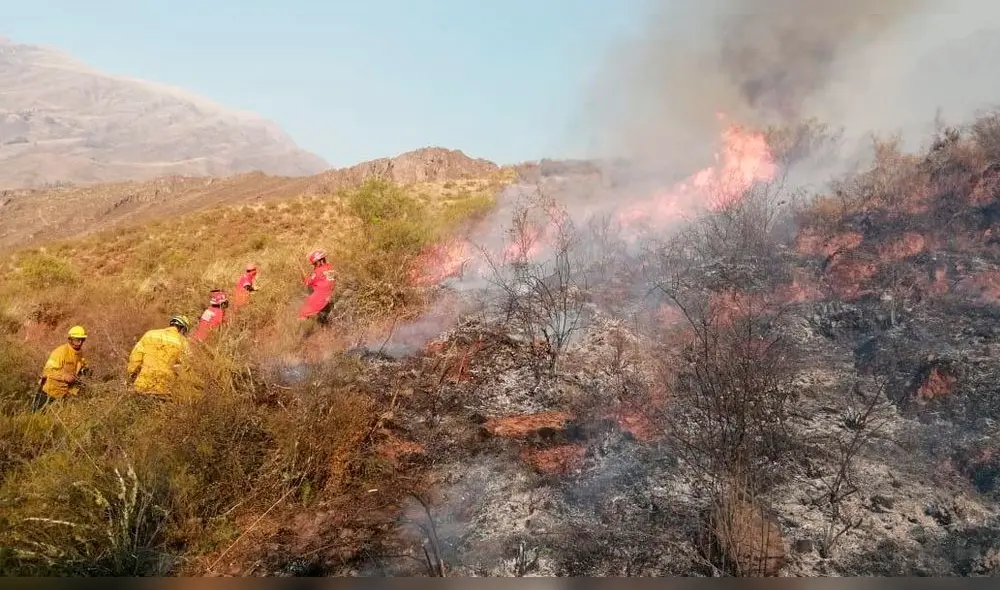 Brigadas y bomberos realizaron denodados esfuerzos para acabar con el fuego. Brigadas y bomberos realizaron denodados esfuerzos para acabar con el fuego.