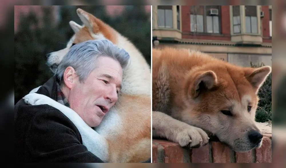 Curiosidades sobre la cinta 'Siempre a tu lado, Hachiko'. Créditos: composición/Hachiko, LLC Curiosidades sobre la cinta 'Siempre a tu lado, Hachiko'. Créditos: composición/Hachiko, LLC