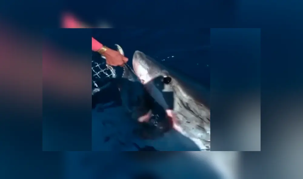 Desliza para ver las imágenes más impactantes del video que se hizo viral en Facebook. Desliza para ver las imágenes más impactantes del video que se hizo viral en Facebook.