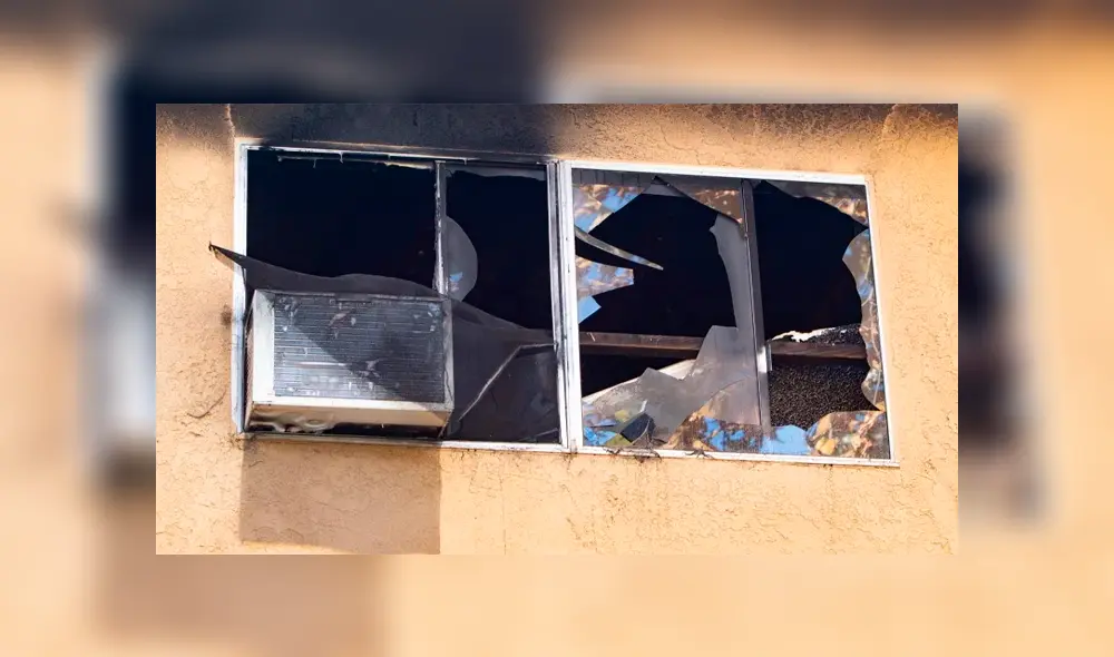 Padre fallece junto a sus tres hijos en incendio causado por el árbol de Navidad Padre fallece junto a sus tres hijos en incendio causado por el árbol de Navidad